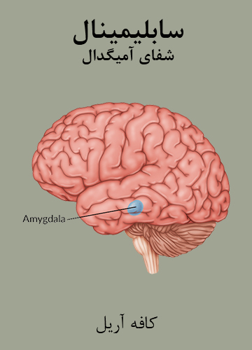 دانلود سابلیمینال شفای آمیگدال